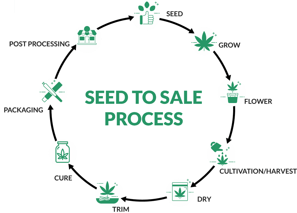 what-is-seed-to-sale-nugistics