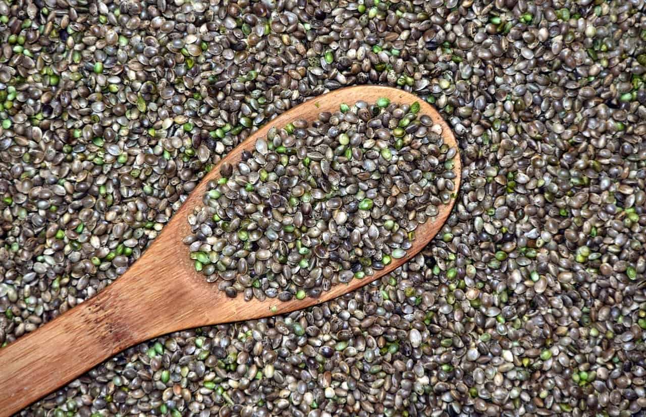 hemp seeds for growing featured image